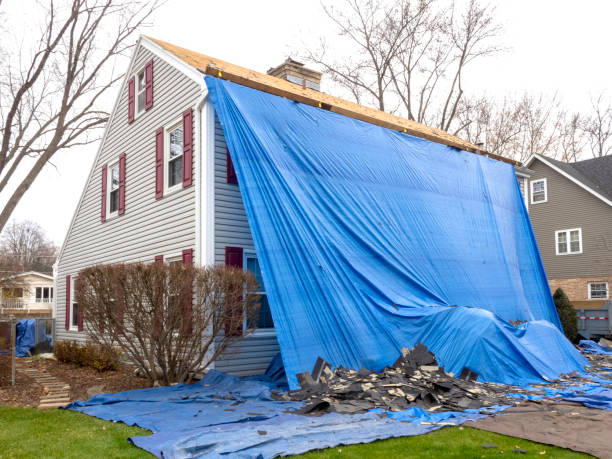 Best Shed Removal  in New Berlinville, PA